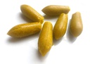 R/ hydrocortisone 5mg (20 suppo´s)